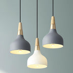 Modern Macaron Disc Pendant 1-Light