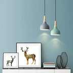 Contemporary Macaron Disc 1-Light Pendant Lamp