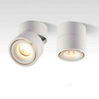 Contemporary Adjustable Aluminum LED Flush Mount Ceiling Light for Living Room