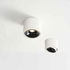 Punto LED Ceiling Spotlight | Adjustable, Aluminium