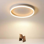 Nordic Minimalist Circular LED Flush Mount Ceiling Light with Iron and Acrylic Design