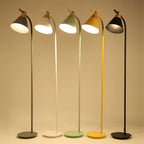 Nordic Inspired Macaron Cone Shade Single-Light Floor Lamp