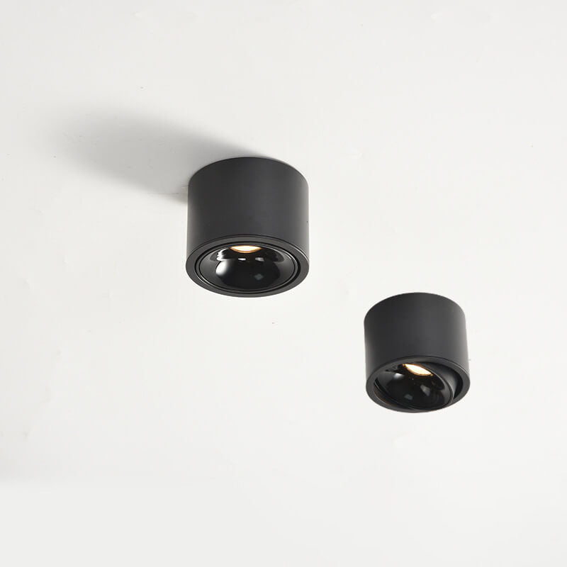 Contemporary Adjustable Round LED Flush Mount Ceiling Spotlight