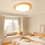 Modern Scandinavian Pebble-Shaped Iron and Acrylic LED Flush Mount Ceiling Light for Bedrooms