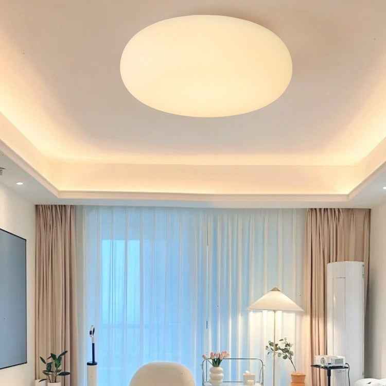 Contemporary Oval Iron PE LED Flush Mount Ceiling Light for Bedroom