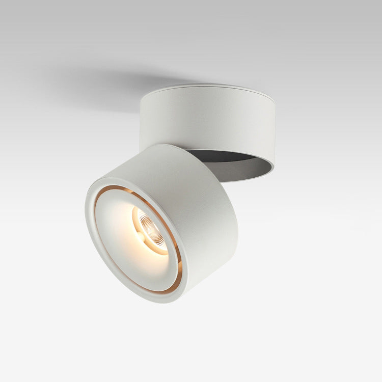 Contemporary Adjustable Aluminum LED Flush Mount Ceiling Light for Living Room