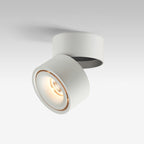 Contemporary Adjustable Aluminum LED Flush Mount Ceiling Light for Living Room