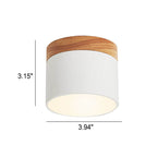 Solid Color Scandinavian Macaroon LED Flush Mount Ceiling Light