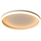 Nordic Minimalist Circular LED Flush Mount Ceiling Light with Iron and Acrylic Design