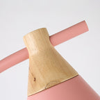 Nordic Inspired Macaron Cone Shade Single-Light Floor Lamp