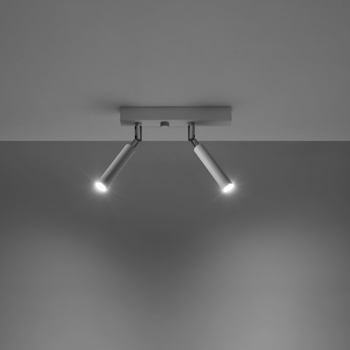 Aeriova - Rotatable White Ceiling Lamp