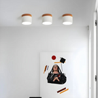Vesta - Old-fashioned LED Ceiling Light