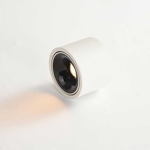 Contemporary Adjustable Round LED Flush Mount Ceiling Spotlight