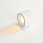 Contemporary Adjustable Round LED Flush Mount Ceiling Spotlight