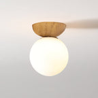 Contemporary Minimalist Glass and Iron Orb 1-Light Semi-Flush Mount/Pendant Light for Living Room