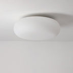 Contemporary Oval Iron PE LED Flush Mount Ceiling Light for Bedroom