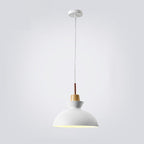 Modern Nordic Oak and Iron Bell Cone 1-Light Pendant Lamp for Living Room