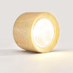 Northern Style LED Cylinder Flush Mount Ceiling Light