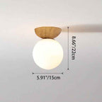 Contemporary Minimalist Glass and Iron Orb 1-Light Semi-Flush Mount/Pendant Light for Living Room