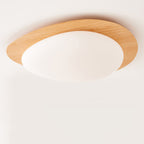 Modern Scandinavian Pebble-Shaped Iron and Acrylic LED Flush Mount Ceiling Light for Bedrooms