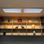 Aureline™ Skylight