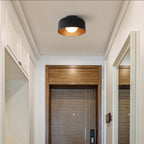 Coscona - Simple Metal Ceiling Lamp