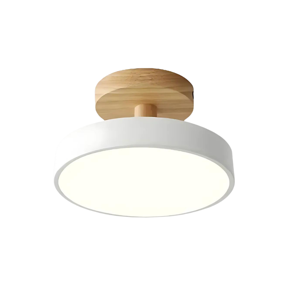 Soreia - Compact Modern LED Ceiling Light