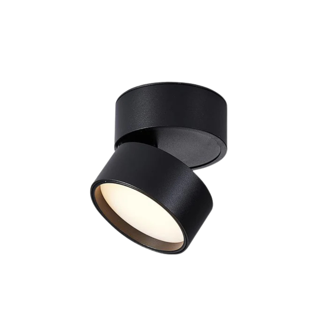 Bela LED Plafondlamp | 360° Verstelbare Lichtkop, Modern Ontwerp