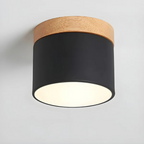Vesta - Old-fashioned LED Ceiling Light
