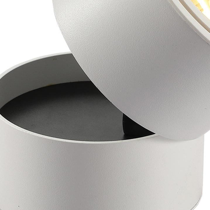 Contemporary Adjustable Aluminum LED Flush Mount Ceiling Light for Living Room