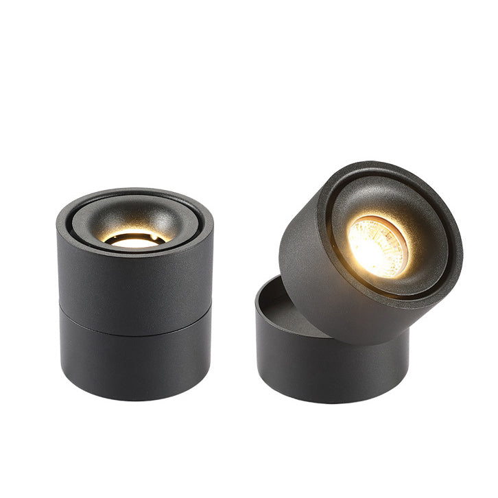 Contemporary Adjustable Aluminum LED Flush Mount Ceiling Light for Living Room