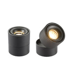 Contemporary Adjustable Aluminum LED Flush Mount Ceiling Light for Living Room