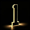 Solar House Number Light