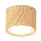 Northern Style LED Cylinder Flush Mount Ceiling Light