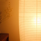 Nordic Minimalist Rice Paper 2-Light Column Floor Lamp