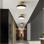 Soreia - Compact Modern LED Ceiling Light