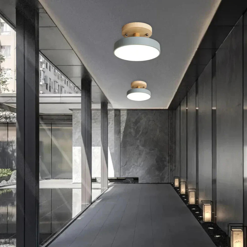 Soreia - Compact Modern LED Ceiling Light