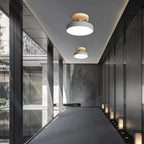Soreia - Compact Modern LED Ceiling Light