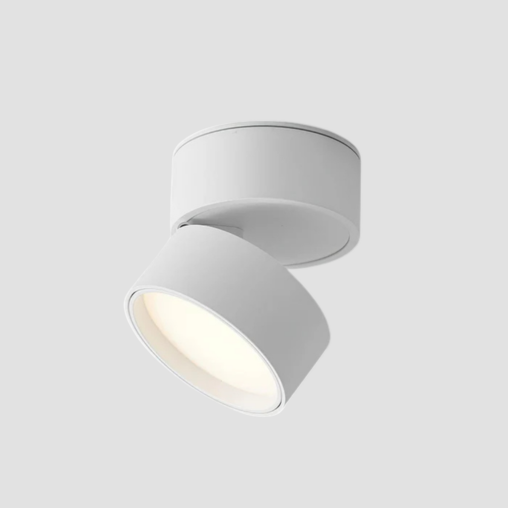 Bela LED Plafondlamp | 360° Verstelbare Lichtkop, Modern Ontwerp