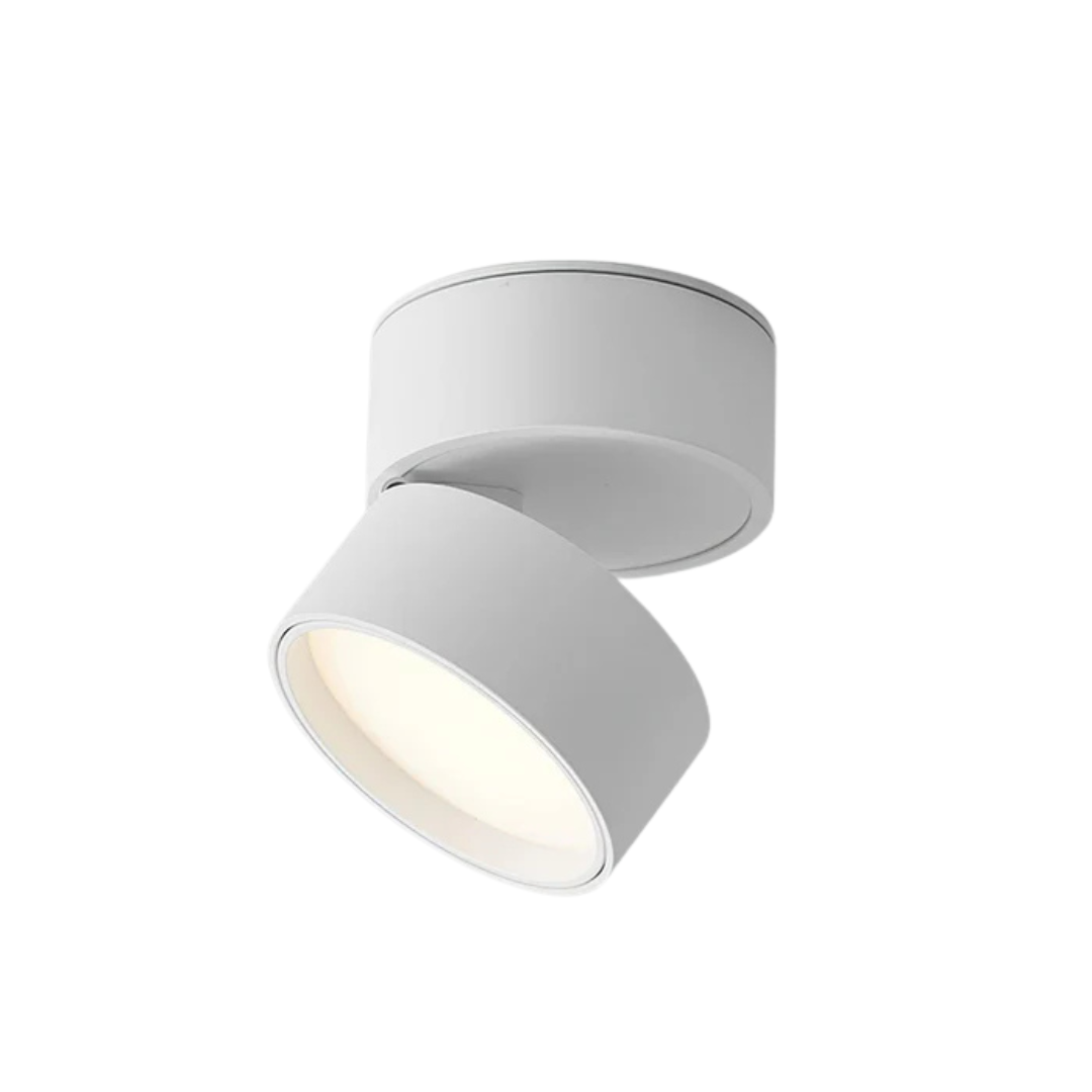 Bela LED Plafondlamp | 360° Verstelbare Lichtkop, Modern Ontwerp