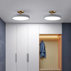 Modern Brass Round LED Ceiling Light 1-Light