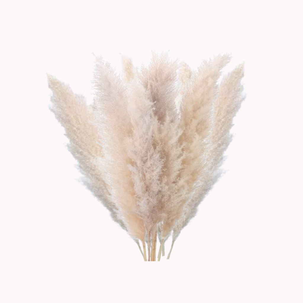 Bela Dried Pampas Grass Bouquet | XL Natural Decor for Home & Events