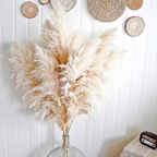Bela Dried Pampas Grass Bouquet | 10 XL Stems, Natural Elegance