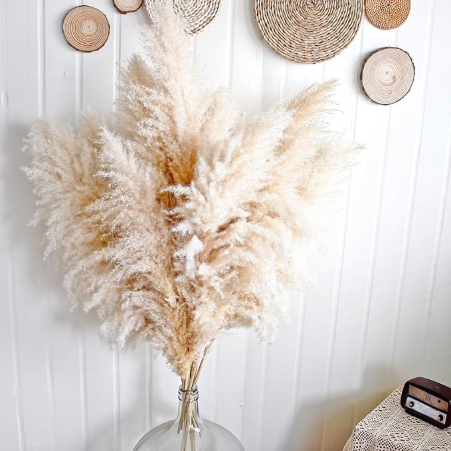 Bela Dried Pampas Grass Bouquet | 10 XL Stems, Natural Elegance