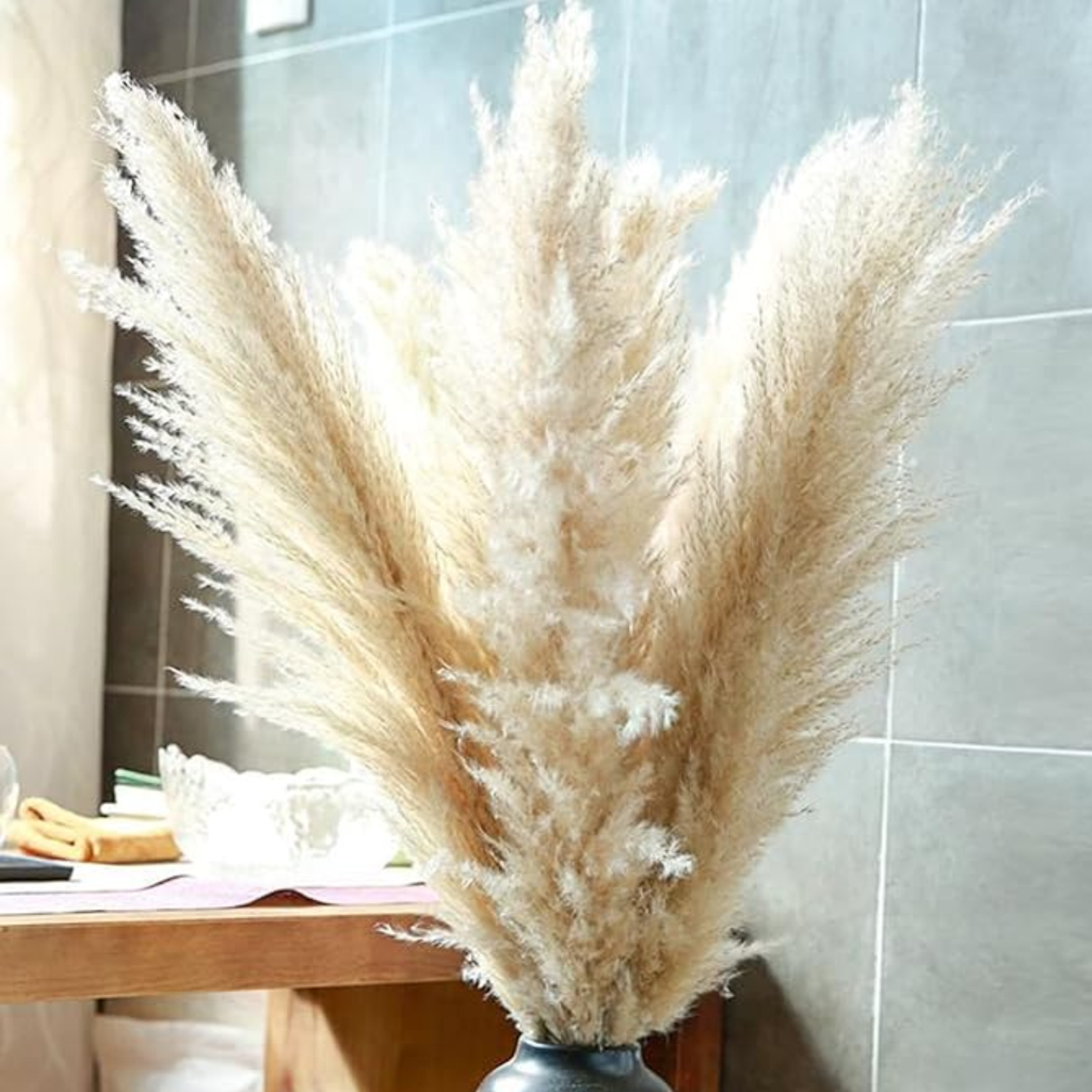 Bela Dried Pampas Grass Bouquet | 10 XL Stems, Natural Elegance