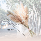 Bela Dried Pampas Grass Bouquet | XL Natural Decor for Home & Events