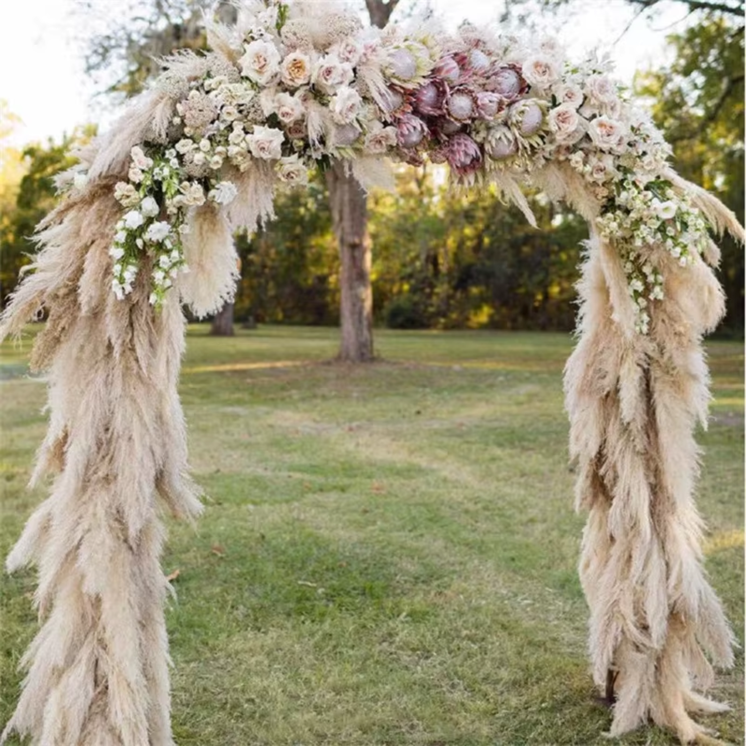 Bela Dried Pampas Grass Bouquet | XL Natural Decor for Home & Events