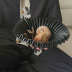 Bello Ceramic Fruit Bowl | Organic Shell Design, Black Finish