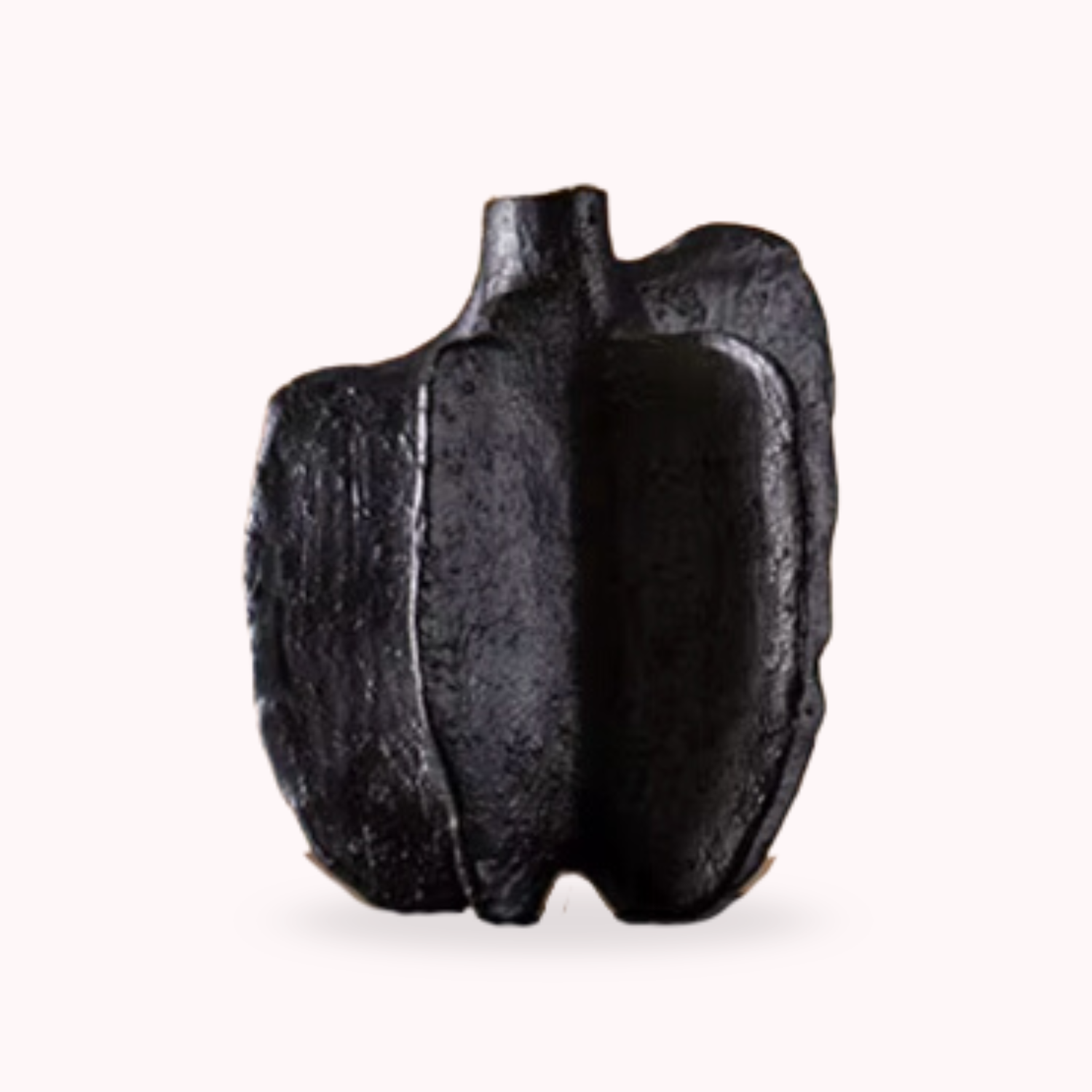 Bela Black Pepper Vase Sculpture | Durable Black Ceramic, 2-in-1 Design