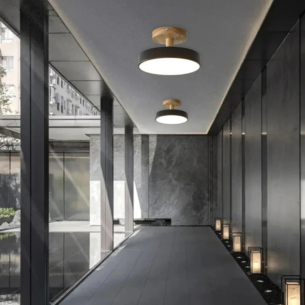 Soreia - Compact Modern LED Ceiling Light
